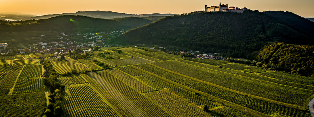 Wir öffnen unseren Heurigen von 23 Oktober bis 2. November