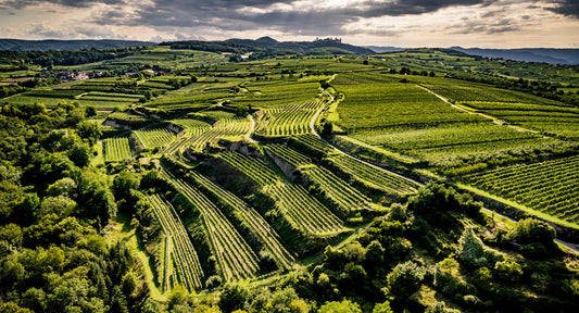 🍇 Liebe Weinfreunde